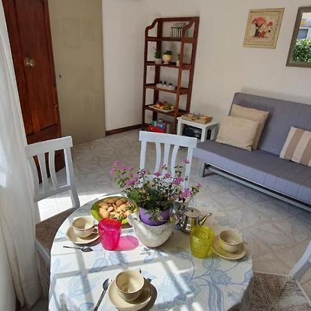 Maggie House Βίλα Λούκα Εξωτερικό φωτογραφία